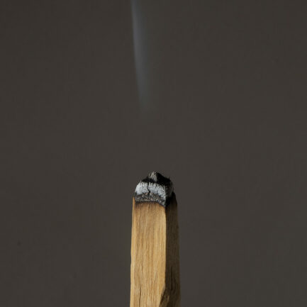 Palo Santo